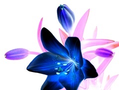 Negatyw