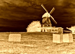 Sepia + Negatyw