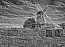 Skamielina