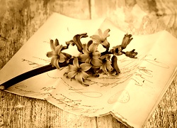 Sepia