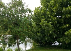Oryginalny obrazek