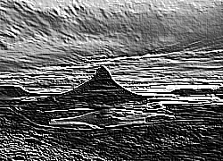 Skamielina