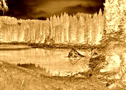 Sepia + Negatyw