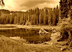 Sepia