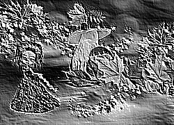 Skamielina