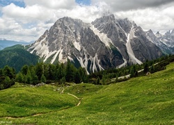 Oryginalny obrazek