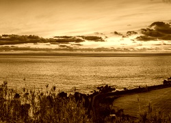 Sepia