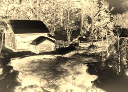 Sepia + Negatyw