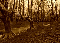 Sepia