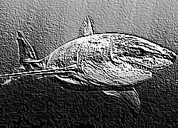 Skamielina