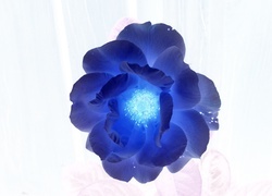 Negatyw