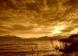 Sepia