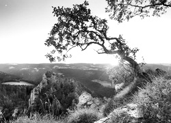 Szary + Sepia