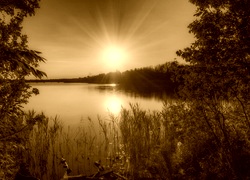 Sepia
