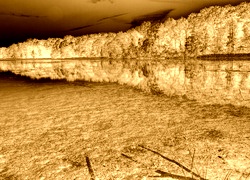Sepia + Negatyw