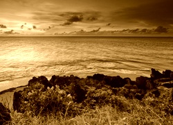 Sepia