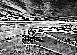 Skamielina