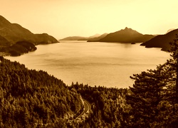 Sepia