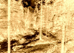 Sepia + Negatyw
