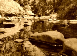 Sepia