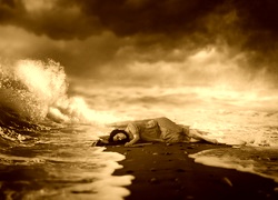 Sepia