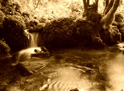 Sepia