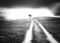 Szary + Sepia