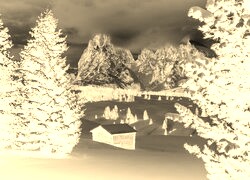 Sepia + Negatyw