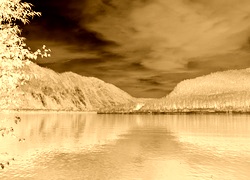 Sepia + Negatyw