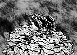 Skamielina