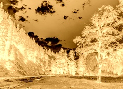 Sepia + Negatyw