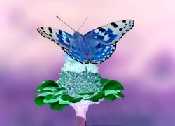 Negatyw