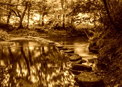 Sepia
