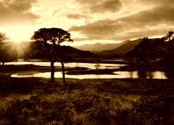 Sepia