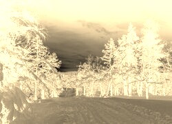 Sepia + Negatyw
