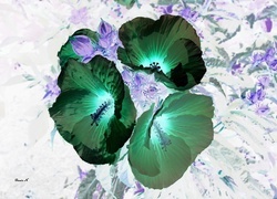 Negatyw