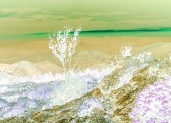 Negatyw