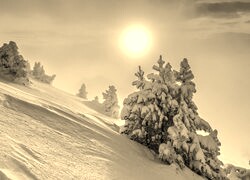 Sepia