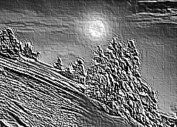 Skamielina