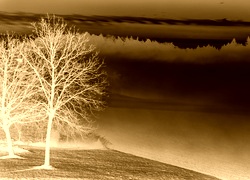 Sepia + Negatyw