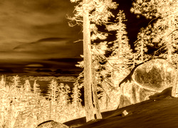 Sepia + Negatyw