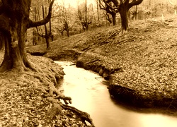 Sepia