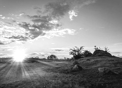 Szary + Sepia