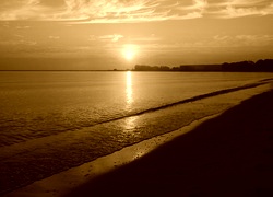 Sepia
