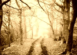 Sepia