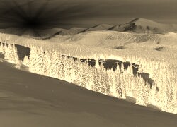 Sepia + Negatyw