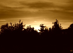 Sepia