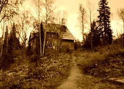 Sepia