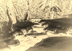 Sepia + Negatyw