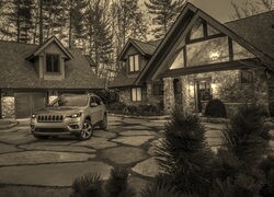 Szary + Sepia